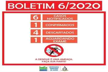 Foto - BOLETINS INFORMATIVOS DENGUE